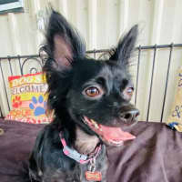 Photo of Missy