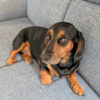 Photo of Frank