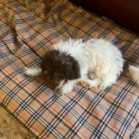 Photo of Harmony ☺️