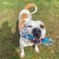 Photo of Buddy Xenos