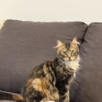 Photo of Zara