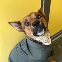 Photo of Lily