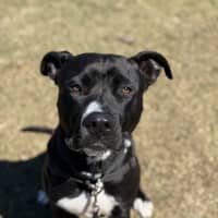 Photo of Remy