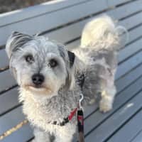 Photo of Sunny
