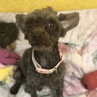 Photo of Sam