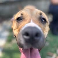 Photo of Maxine