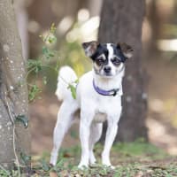 Photo of Mimi