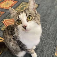 Photo of Mabel 