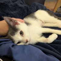 Photo of Minnie Baby