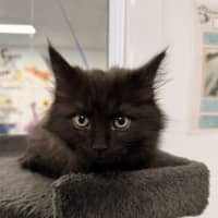 Photo of Maisy