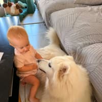 Photo of Luna
