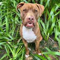 Photo of Turbo
