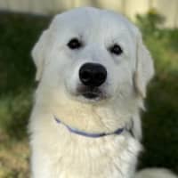 Photo of Murphy