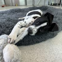 Photo of Tex