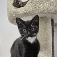 Photo of Rhea Ripley   Burnie