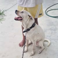 Photo of Zeus 