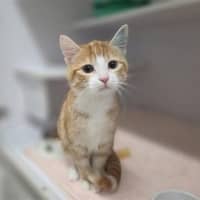 Photo of Hazel