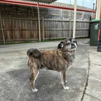 Photo of Covah And Teddy