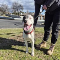 Photo of Windsor 🏎️