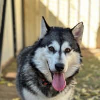 Photo of Delilah