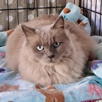 Photo of Charlie