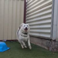 Photo of Storm