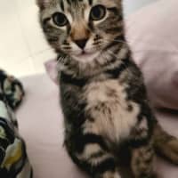 Photo of Mister Mason Munchy 