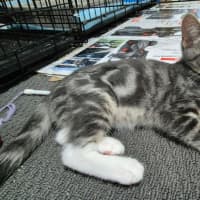 Photo of Lulu
