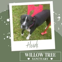 Photo of Heidi