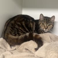 Photo of Mrs Penelope 