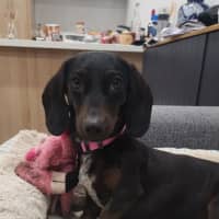 Photo of Diva
