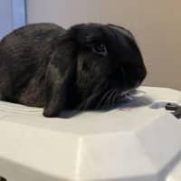 Photo of Boots