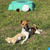 Photo of Chevy
