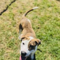 Photo of Addie