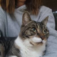 Photo of Aliti