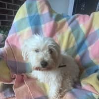 Photo of Holly