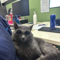 Photo of Sirius
