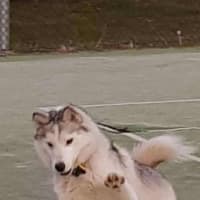 Photo of Ghost & Mirri