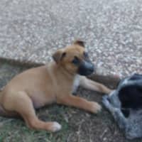 Photo of Eli