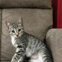 Photo of Cindy