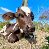 Photo of Huxley And Nyles