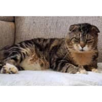 Photo of 12526   Jed 