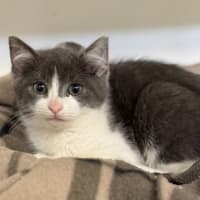 Photo of Theodore 