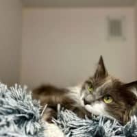 Photo of Maisy