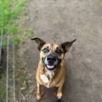 Photo of Buddy