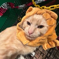 Photo of First Aid Kit
