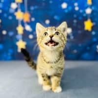 Photo of Bill   Located In Preston 