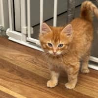 Photo of Eddie & Cherry 