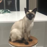 Photo of Ralph
