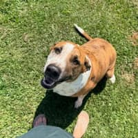 Photo of Roxie